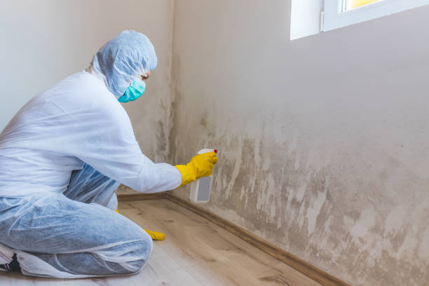 Bathroom Mold Removal assessment in Wrightsville bathroom